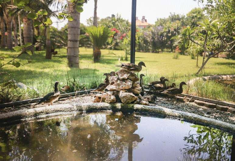 Camyuva Motel Kemer Luaran gambar