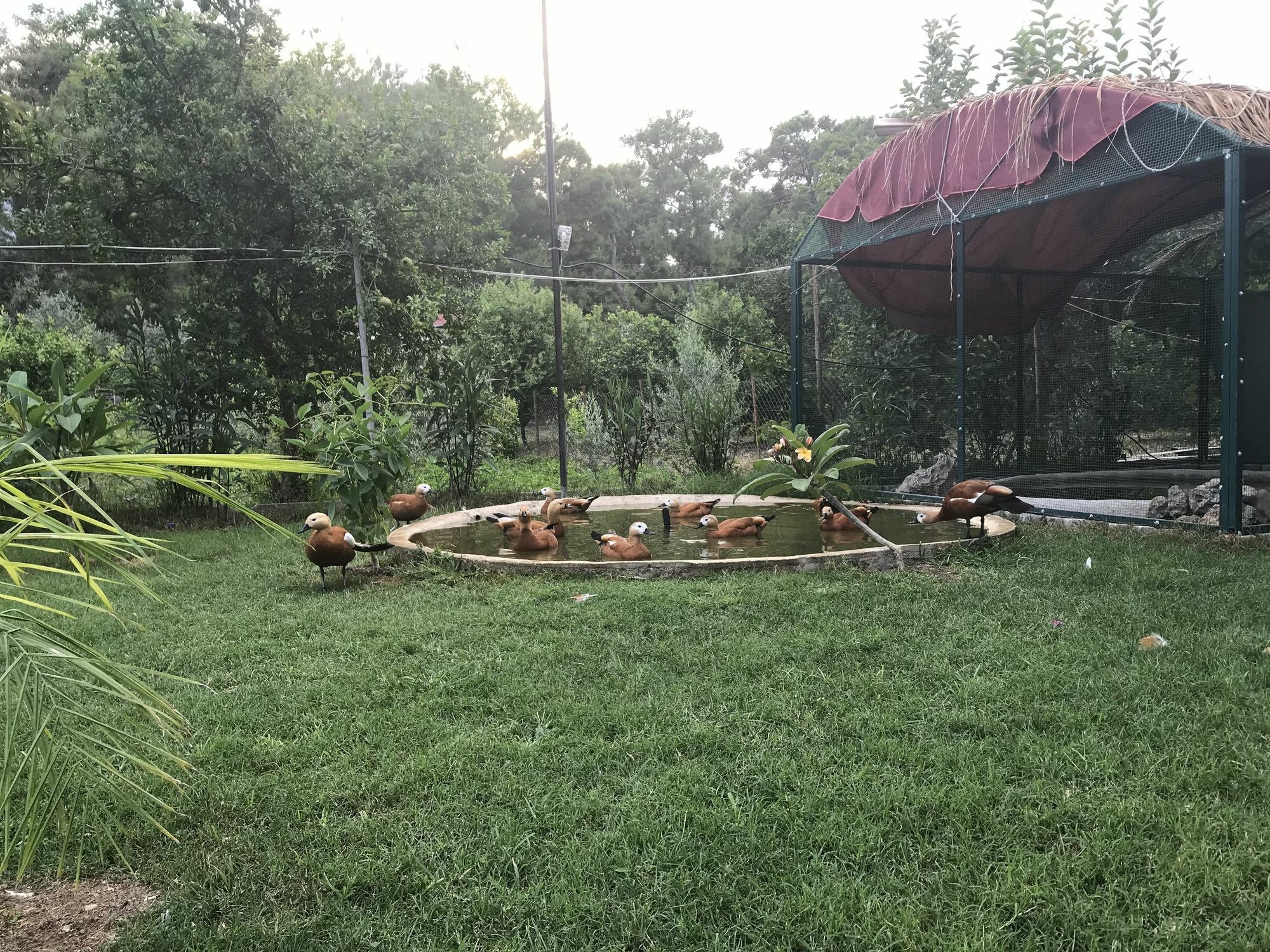 Camyuva Motel Kemer Luaran gambar